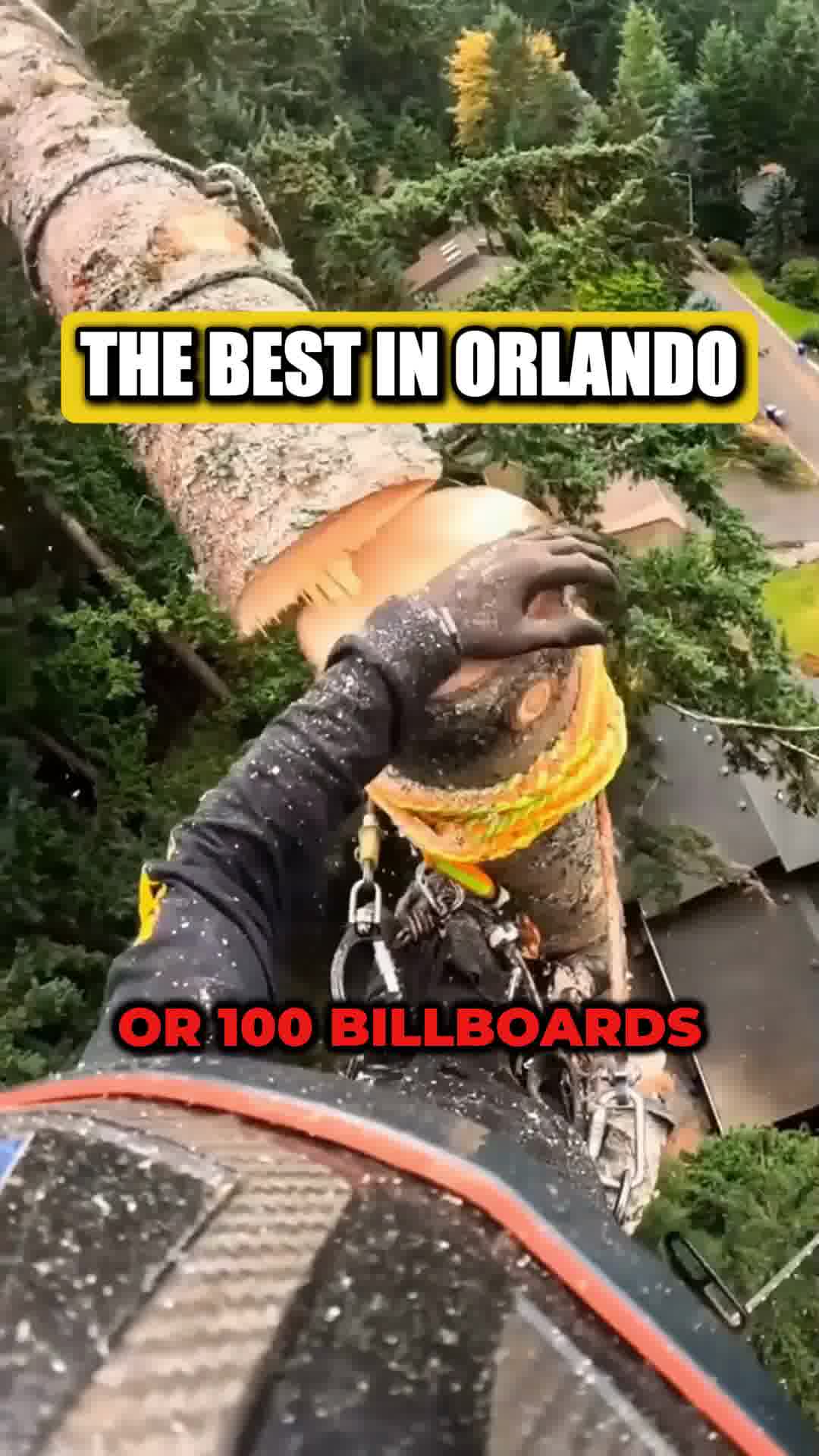 Tree Removal STARTING at $999!