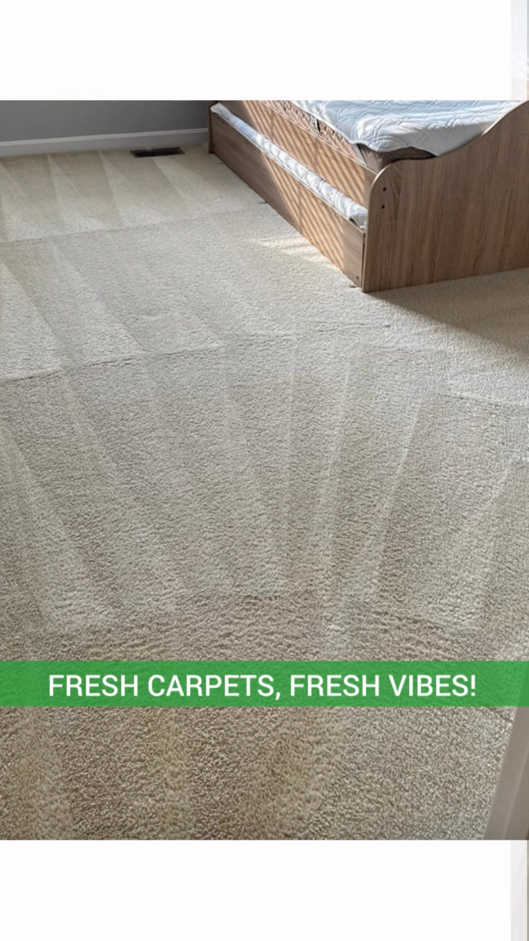 Discover the power of expert carpet cleaning!