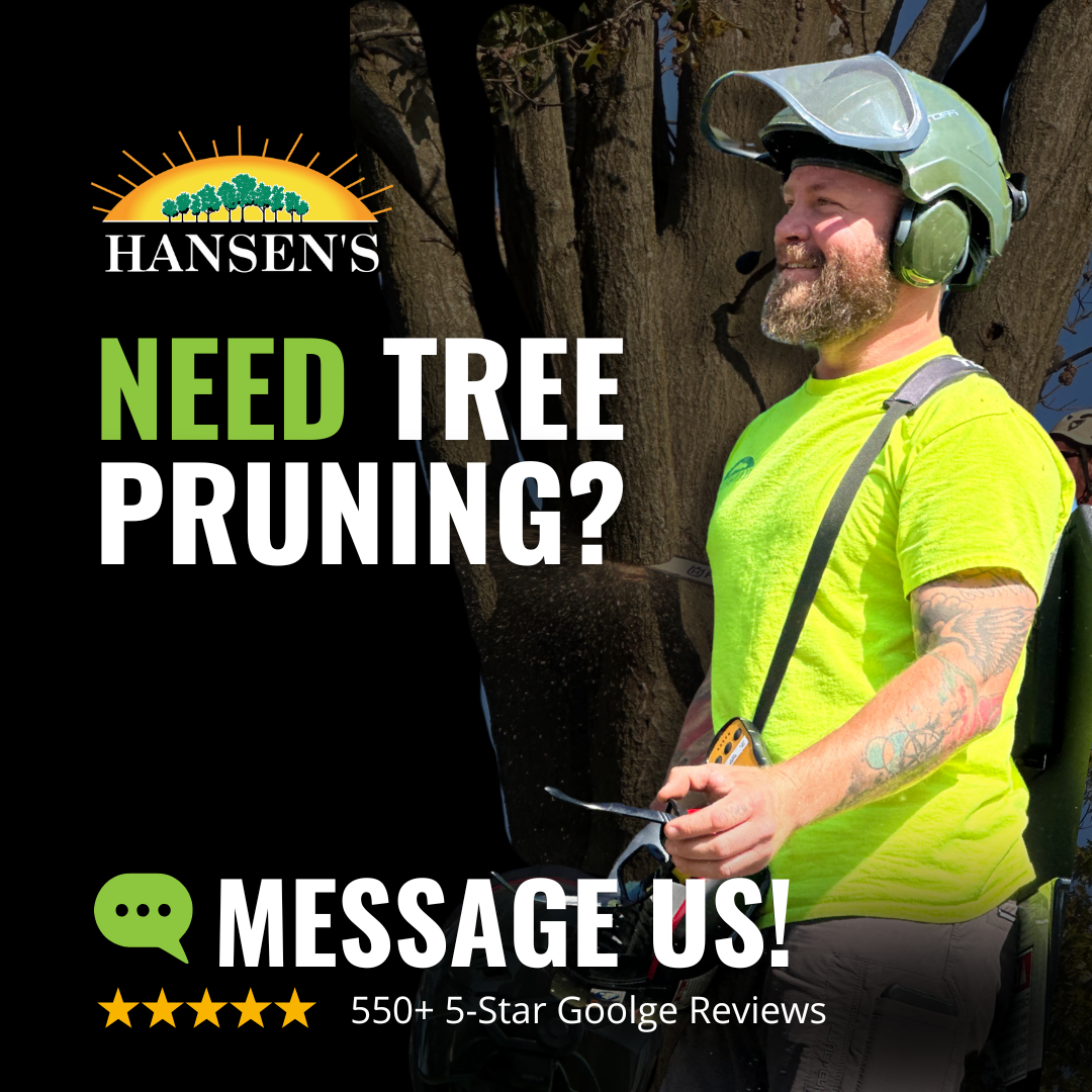 Hansen's Tree Service - St. Louis & Lake of the Ozarks Tree Service ad creative