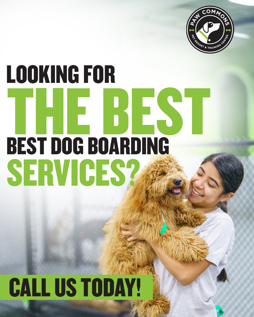 Paw Commons Pet Resort & Training Center - Bay Park Pet Boarding ad creative