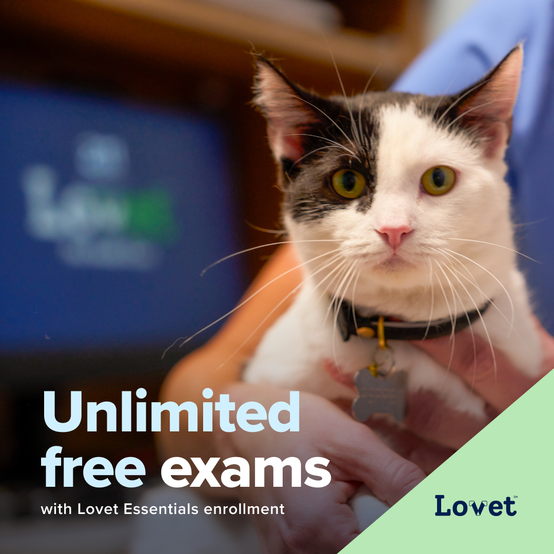 Lovet Pet Health Care