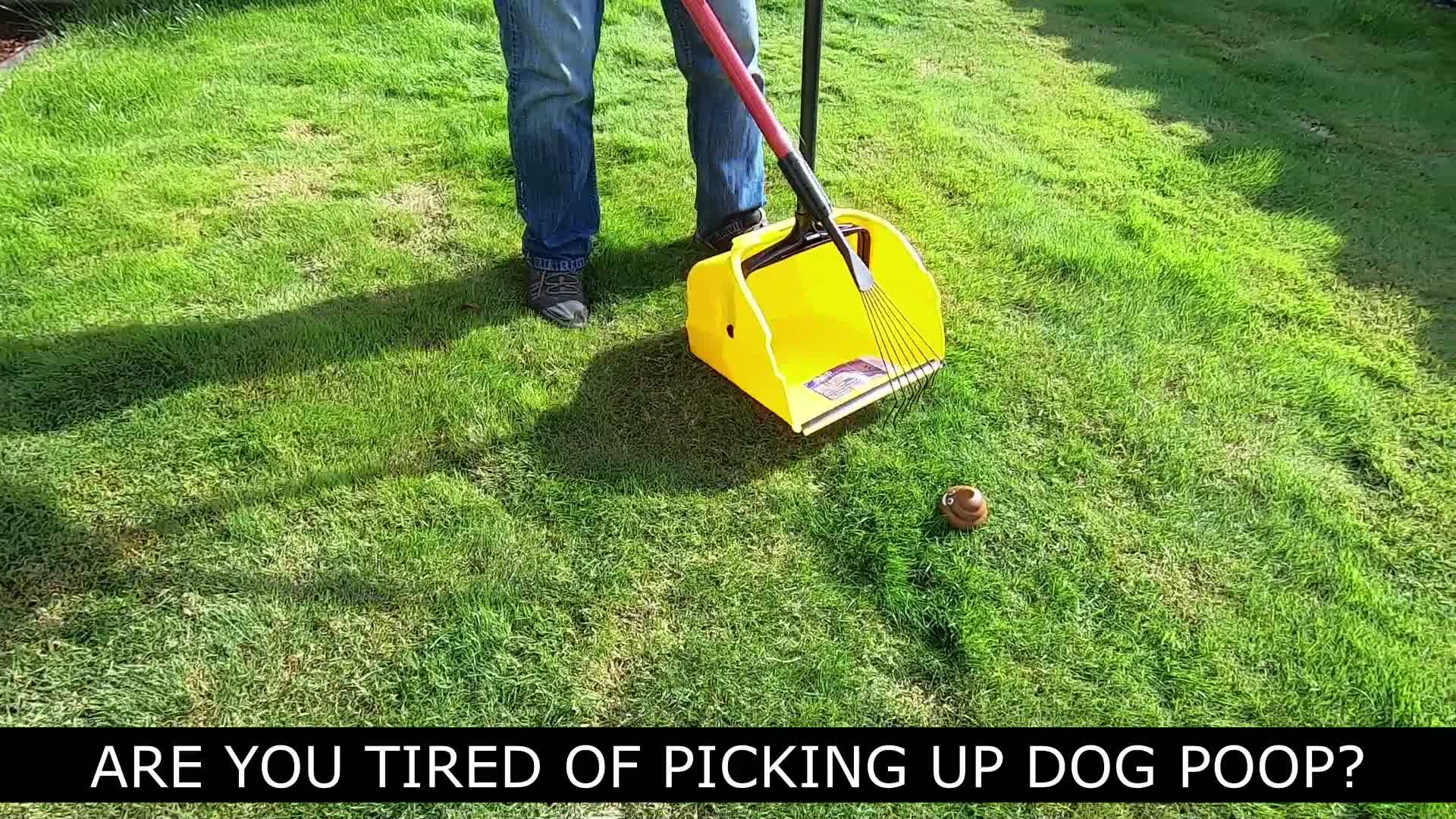Tired Of Picking Up Dog Crap?