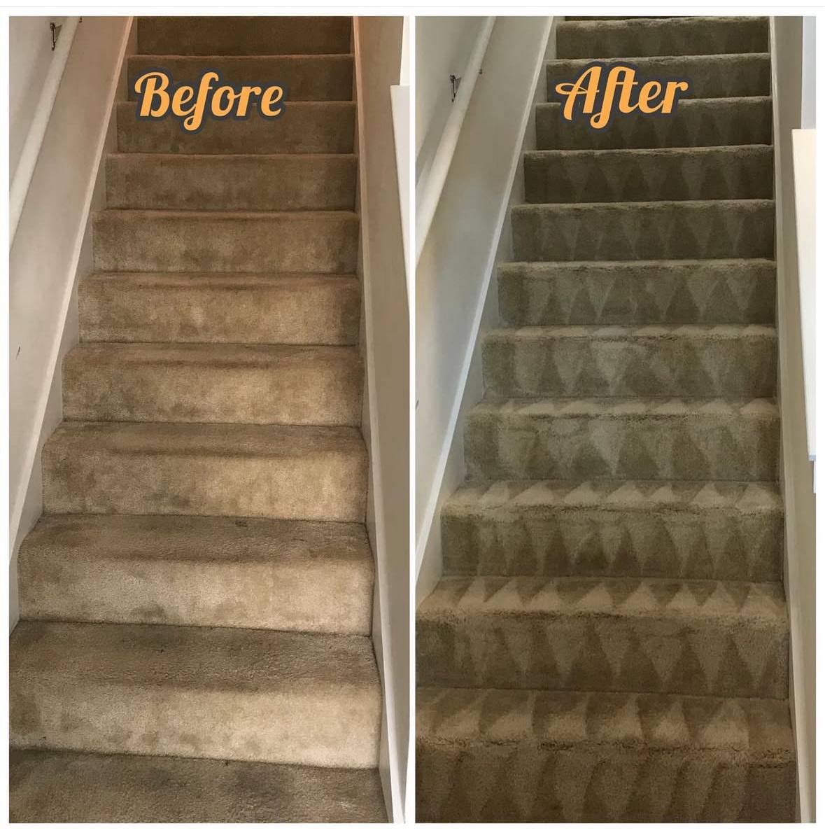 Clean your carpet today!