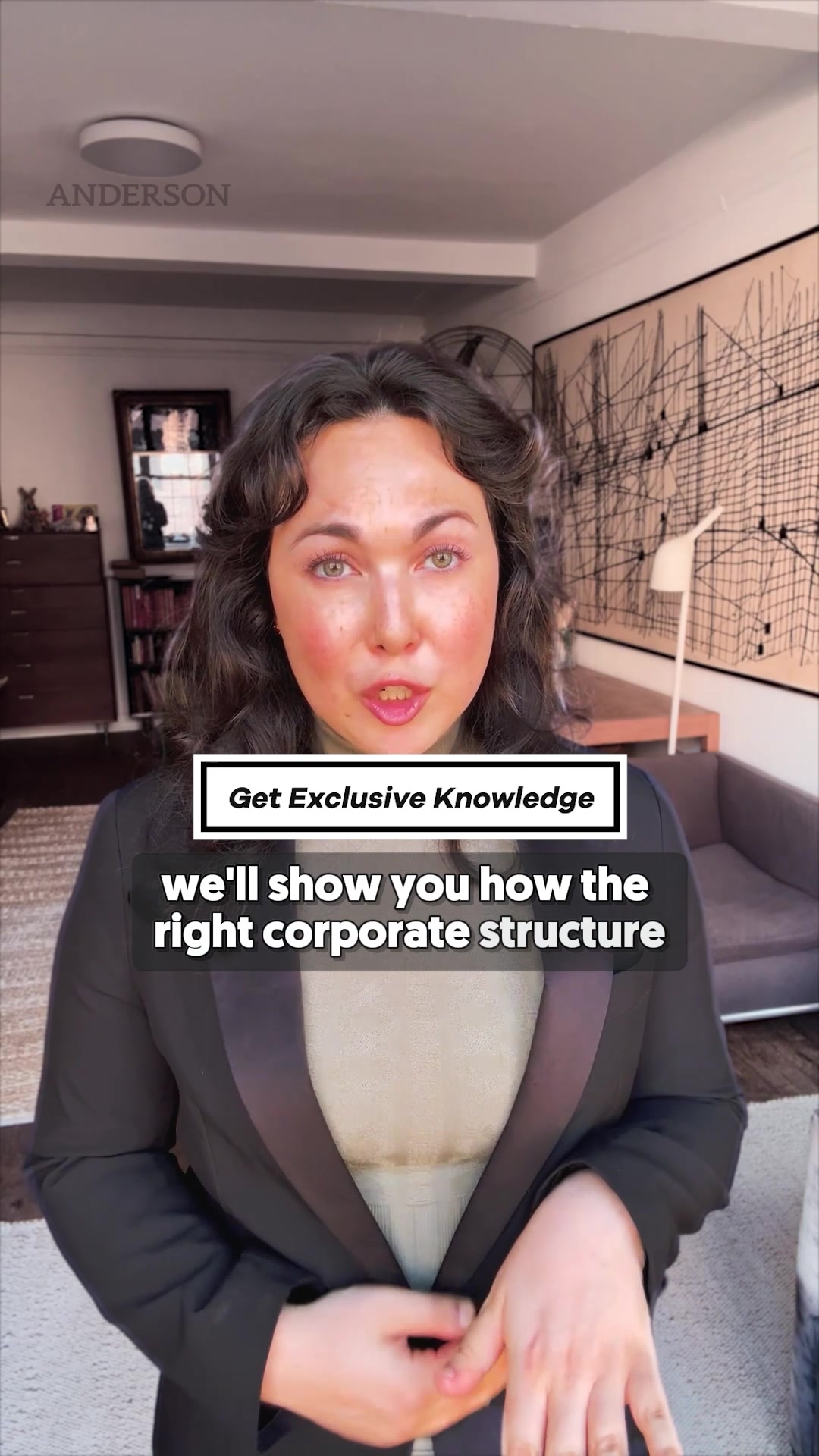 Anderson Business Advisors Business Law ad creative