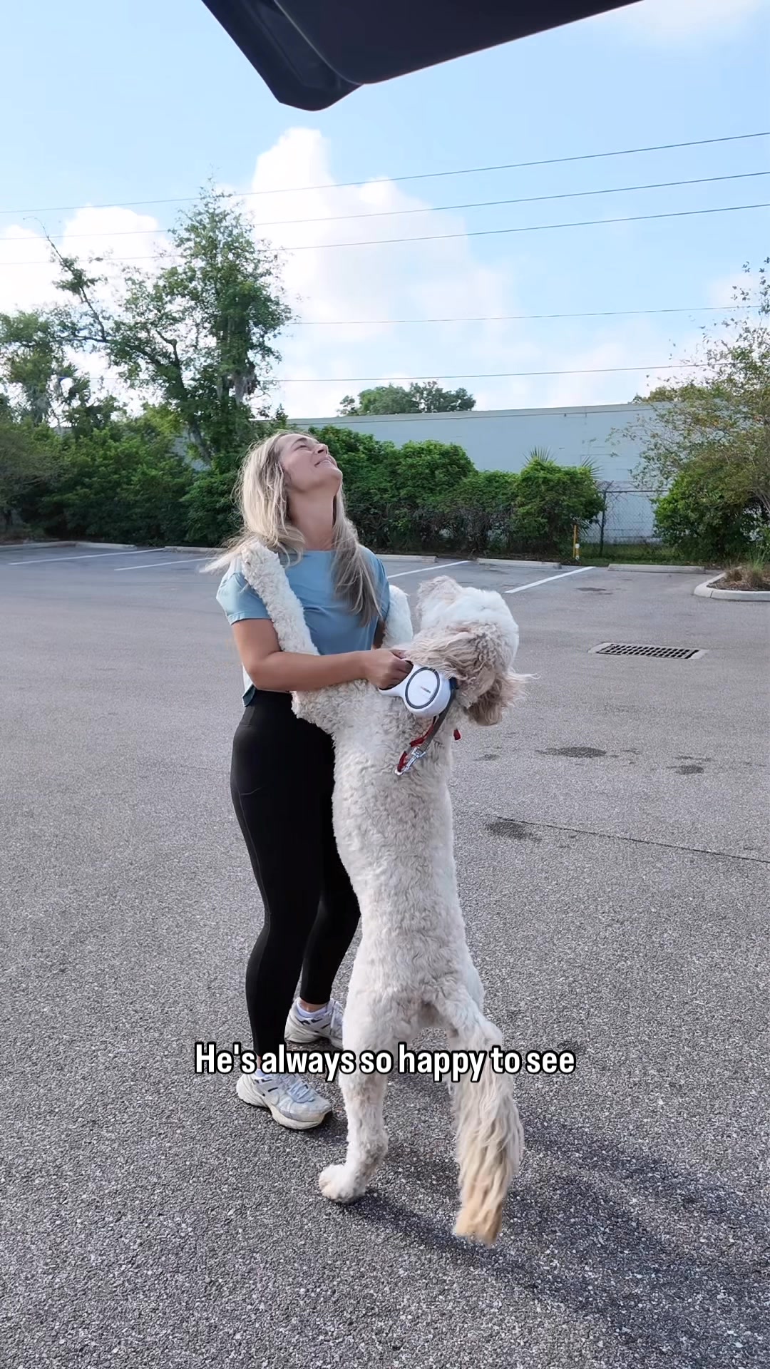 When Walks Aren't Enough