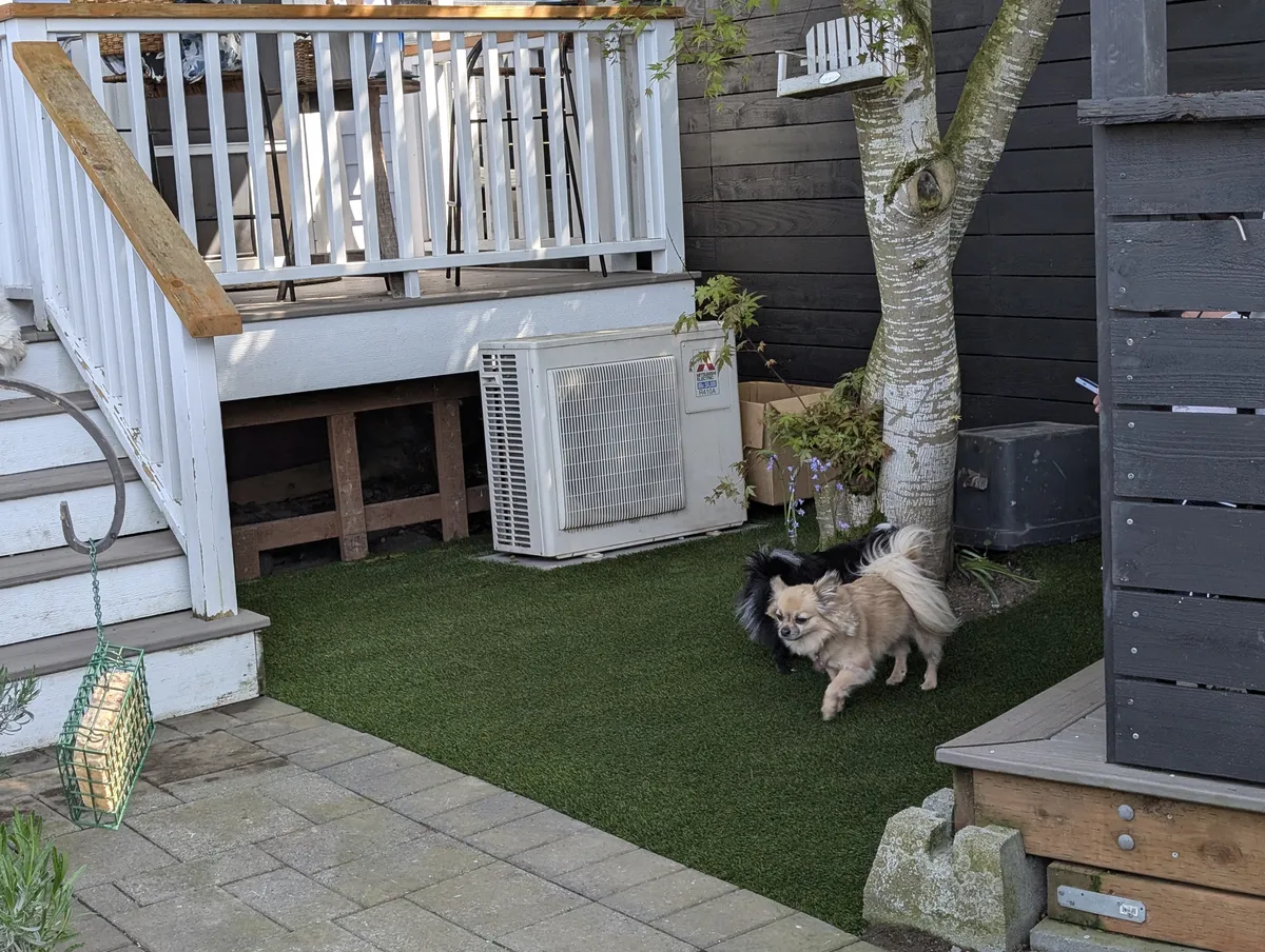 Transform Yards with K9Grass Elite: Pacific Northwest