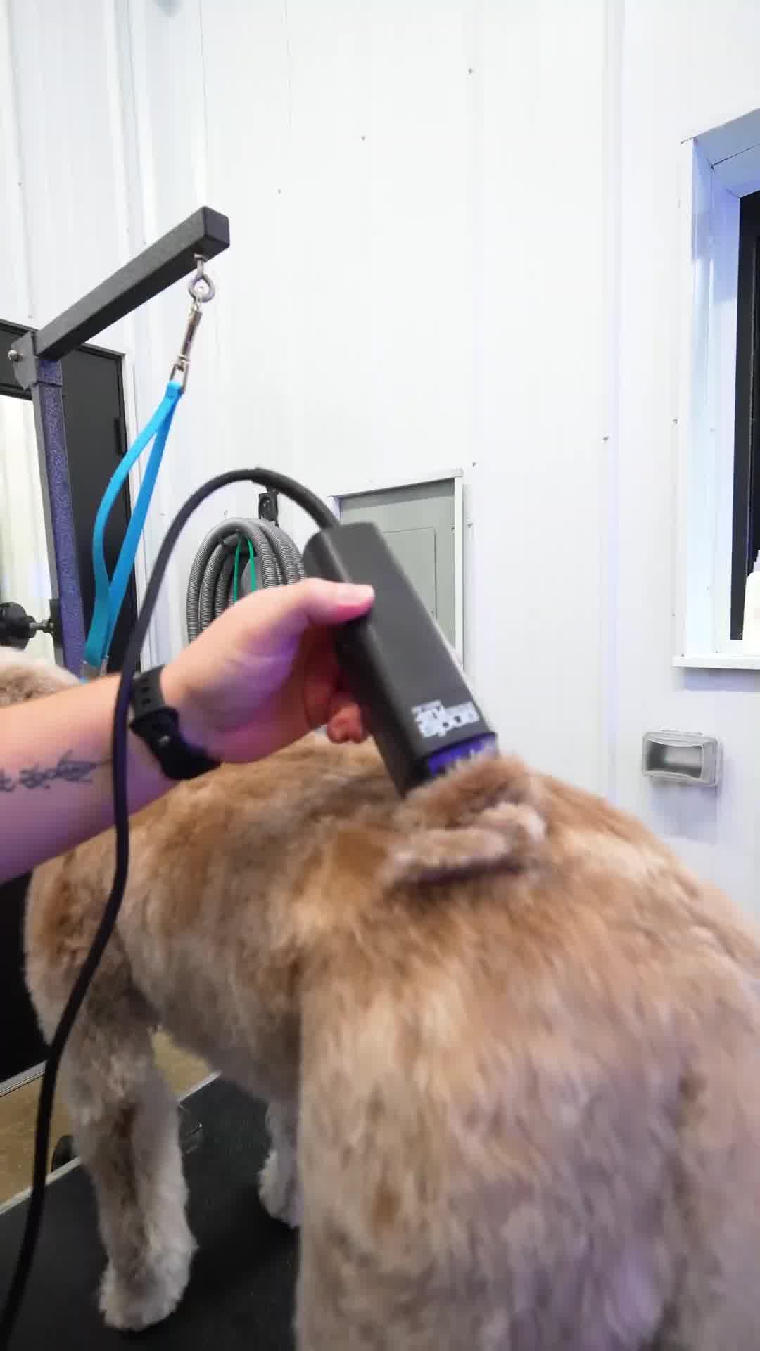 10% Off + FREE Daycare