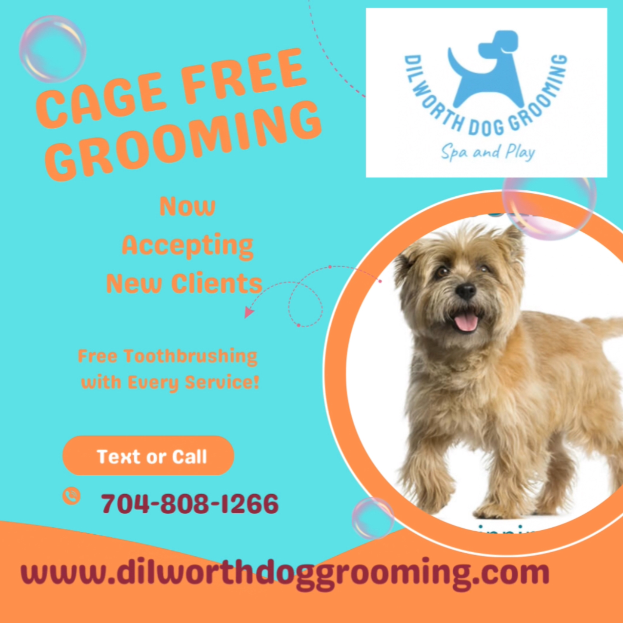 Dilworth Dog Grooming