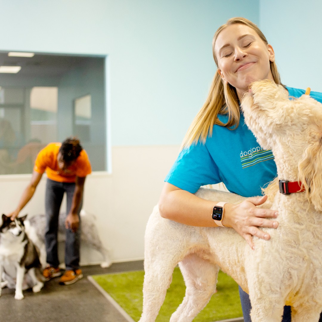 What does your dog do for fun?