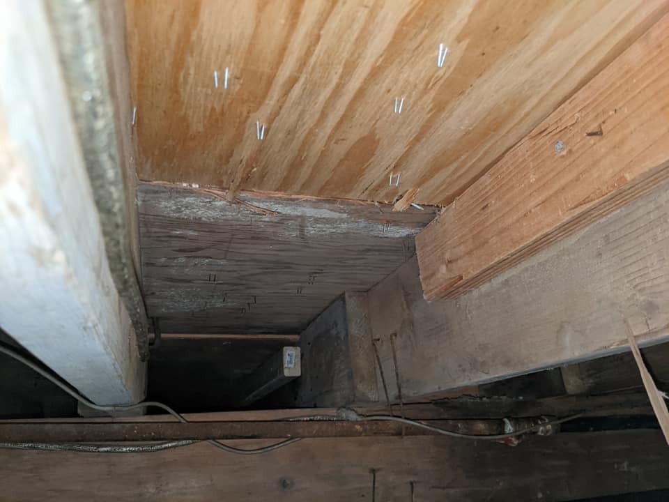 Nash Everett, New Jersey Mold Removal Water Damage Restoration ad creative