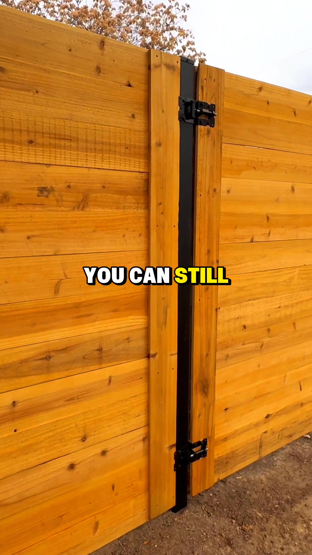Jacksonville's #1 Fence Company