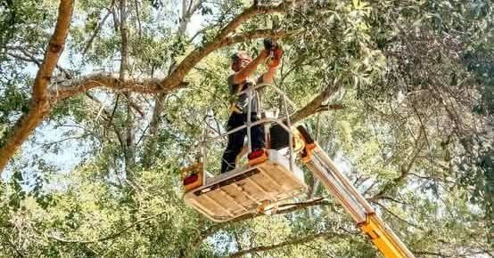 Serving Baldwin County