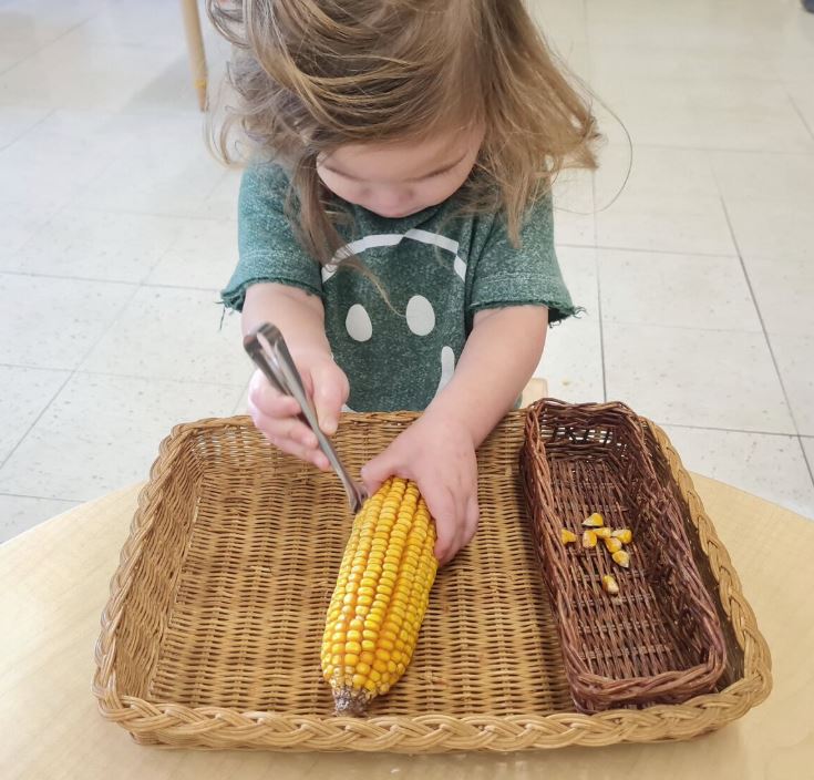 New School Montessori Preschool ad creative