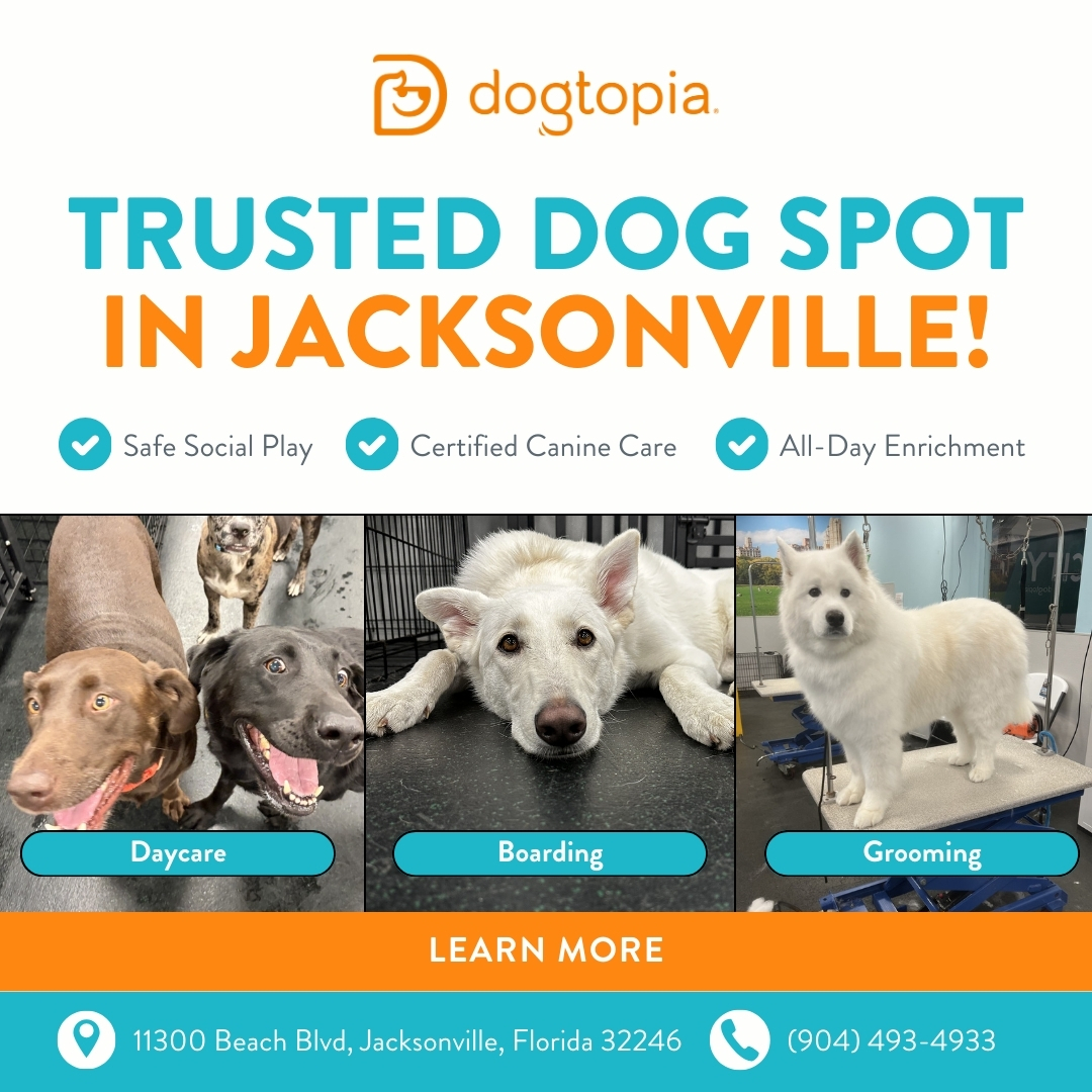 Today's Pet Care Pet Boarding ad creative