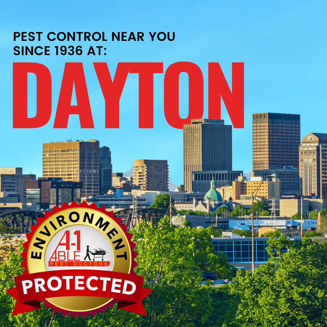 A1 Able Pest Doctors