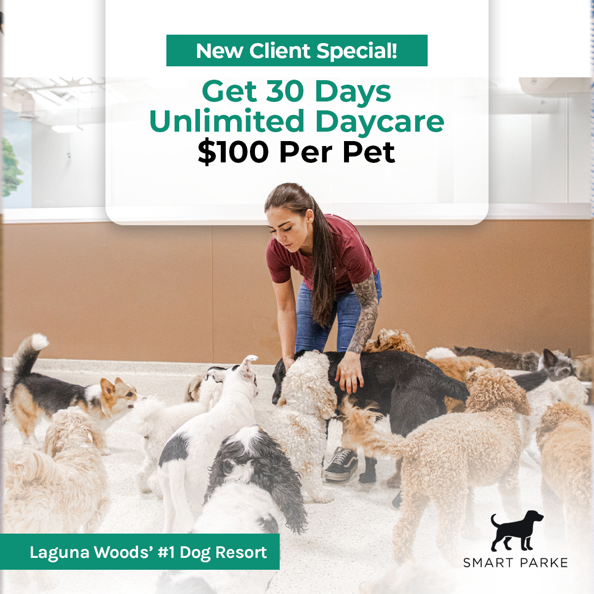 Smart Parke Pet Boarding ad creative