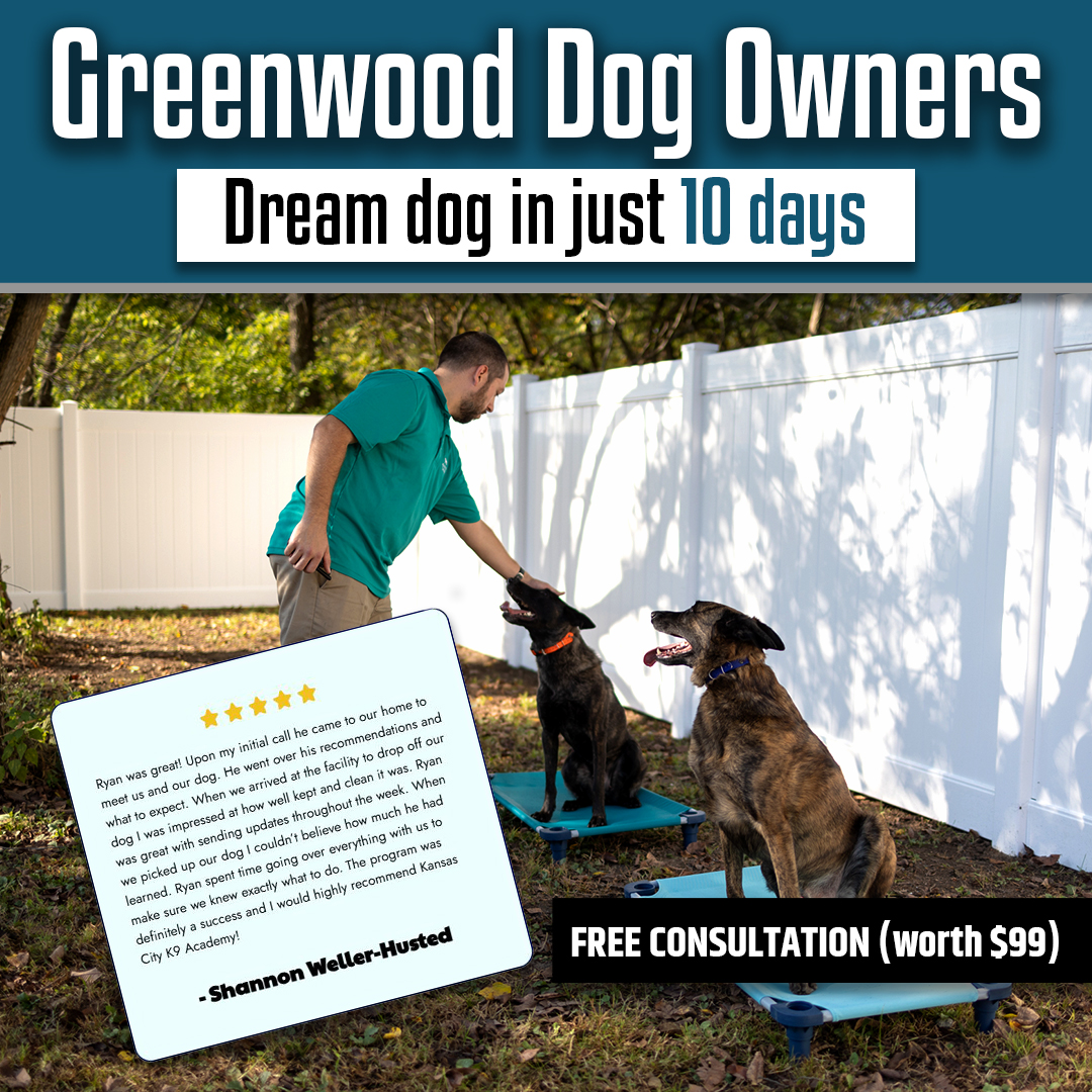 Fix Leash Pulling, Jumping & Chaos in Just 10 Days!