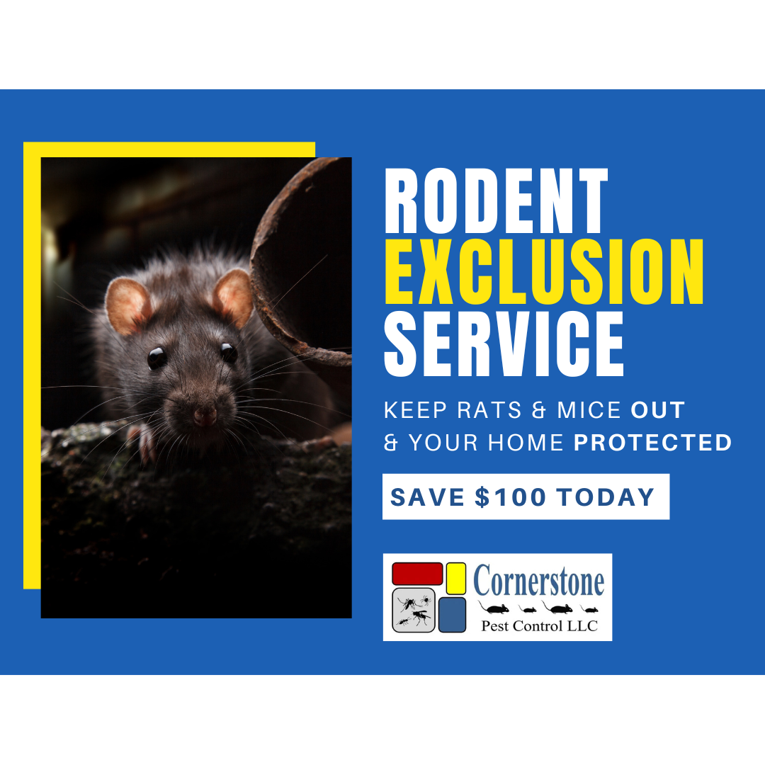 $100 Off 1-Year Rodent Protection