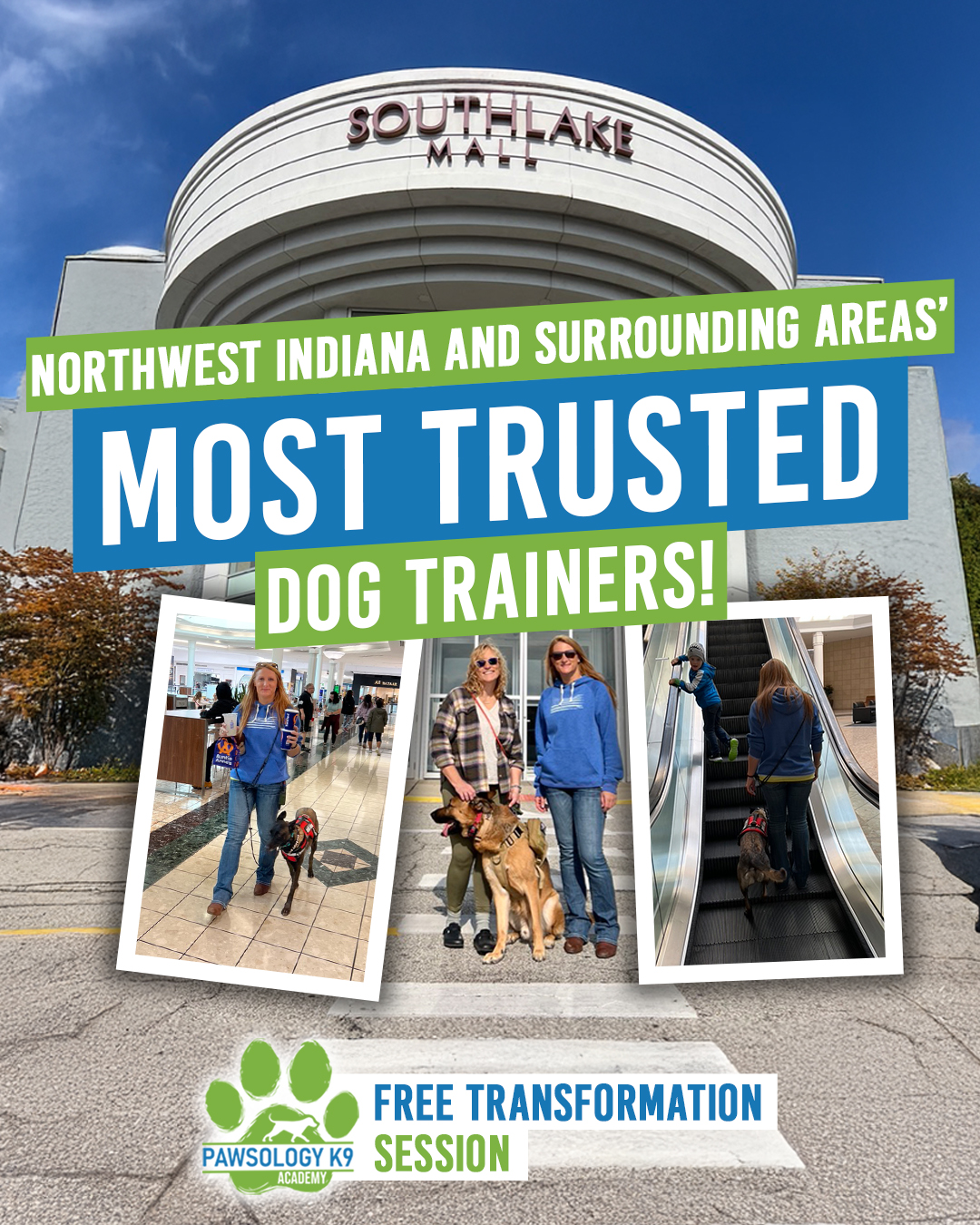 Out of Control Dog? We're Here to Help! 💯