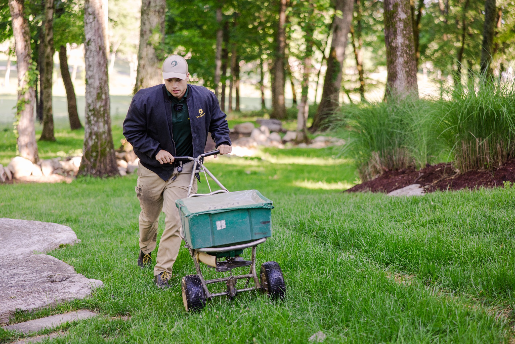 🌿 Leave Seeding to the Experts