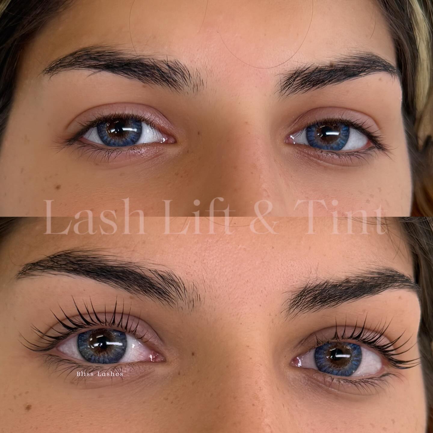 Bliss lashes ca Eyelash & Brow Studio ad creative