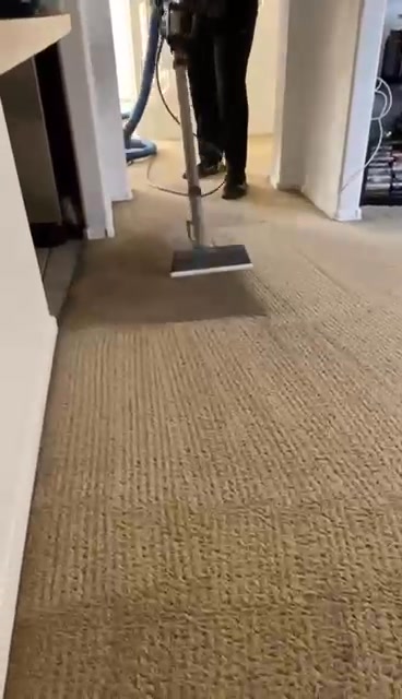 Fave LF Cleaning Services Carpet Cleaning ad creative