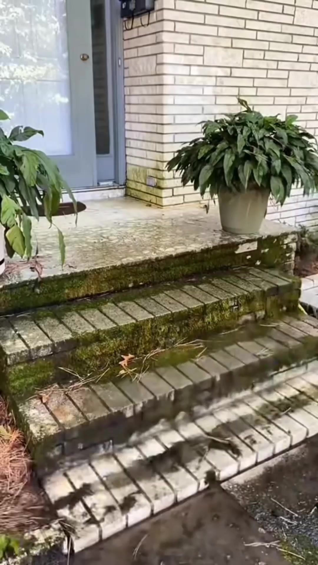 House Washing From $150 + FREE Gutters