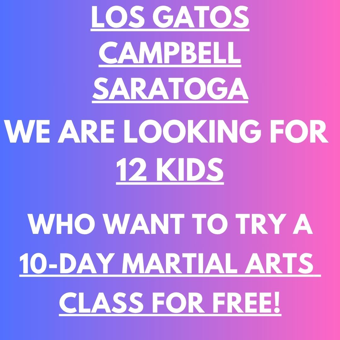 All-Pro Tae Kwon Do Academy Martial Arts ad creative