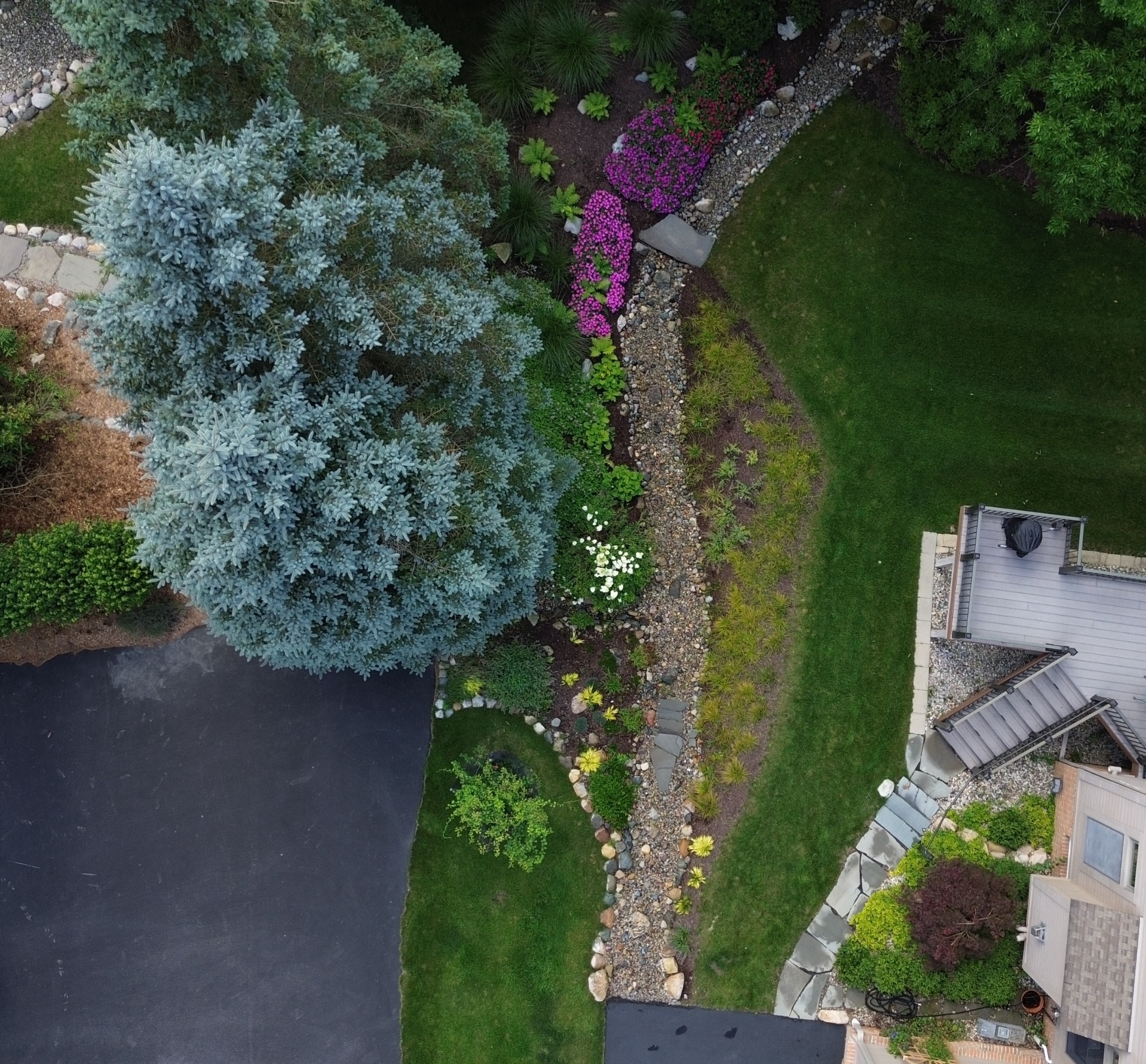 🌿 A Garden That Thrives Starts Here 🌿