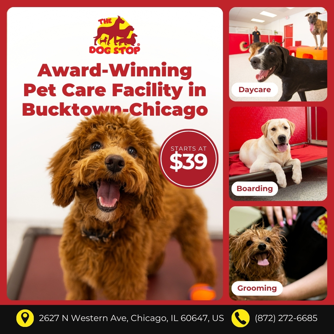 Today’s Pet Care Pick: The Dog Stop Bucktown