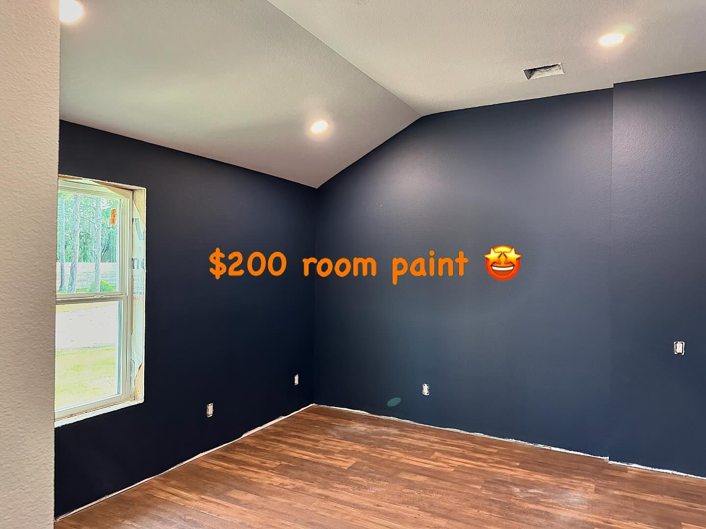 PNP Pro Painters Painter ad creative