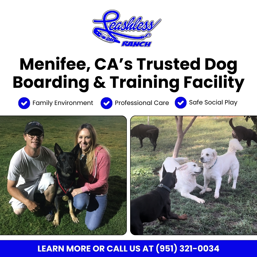 Book Training Today!