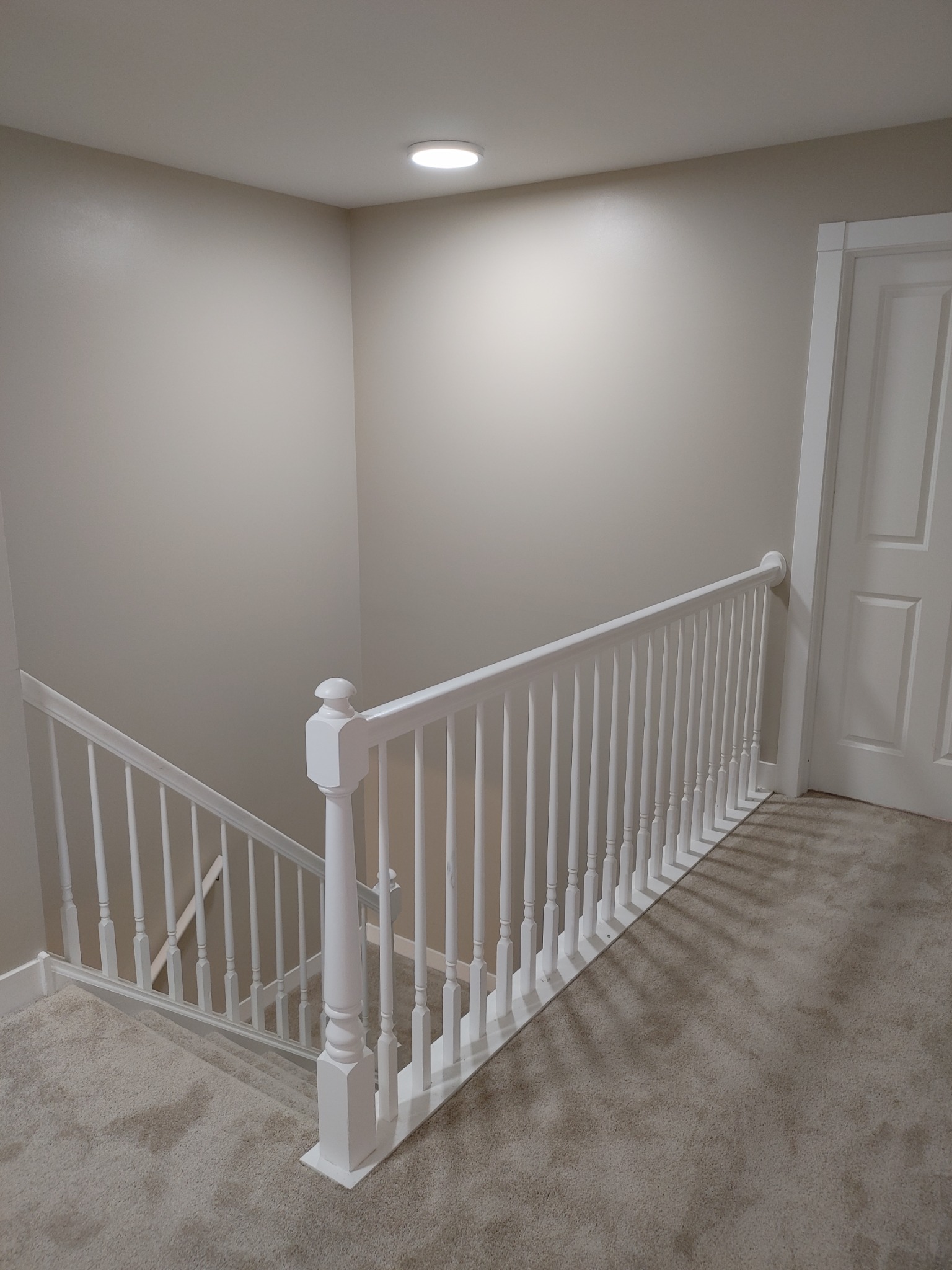 Rohrer Handyman Services Painter ad creative