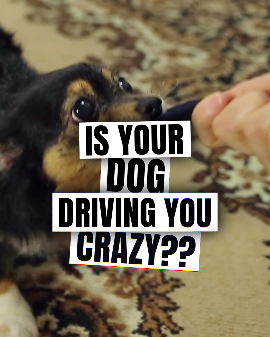 👉 FREE PHONE CONSULTATION 👉