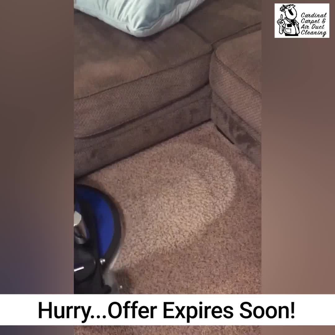 Most Thorough Carpet Cleaning Or it's FREE!