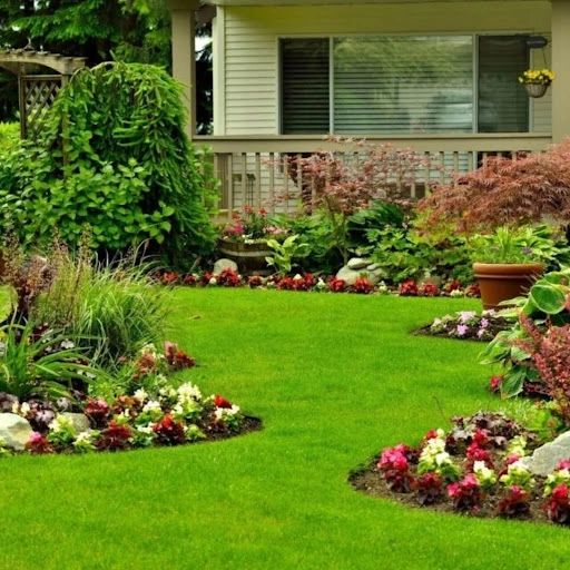 Get Professional Tree Care Services With Us!