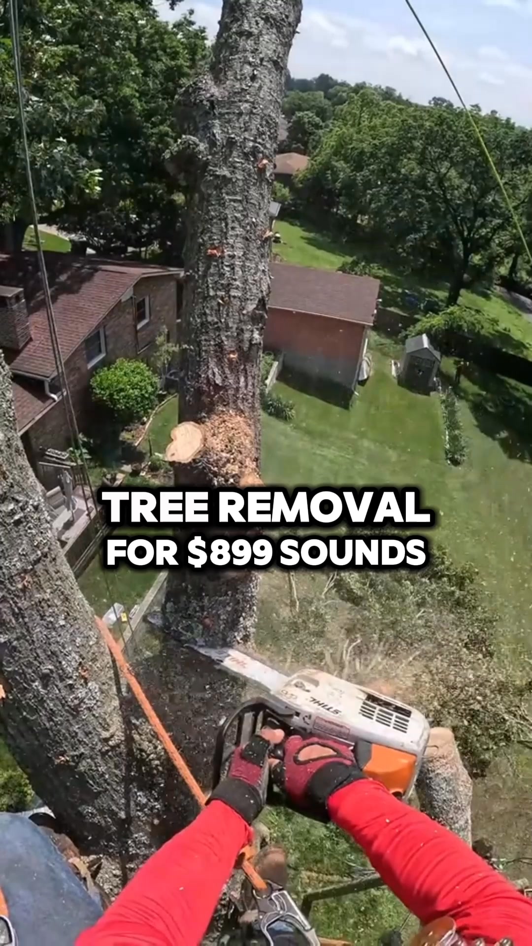 How Much Should Tree Removal Cost in  Danbury?
