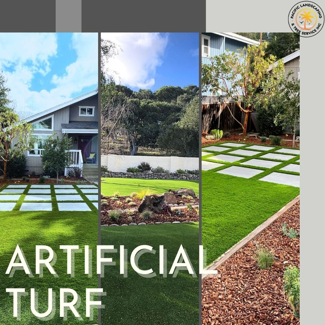 Pacific Landscaping & Tree Service Inc. Landscaping ad creative