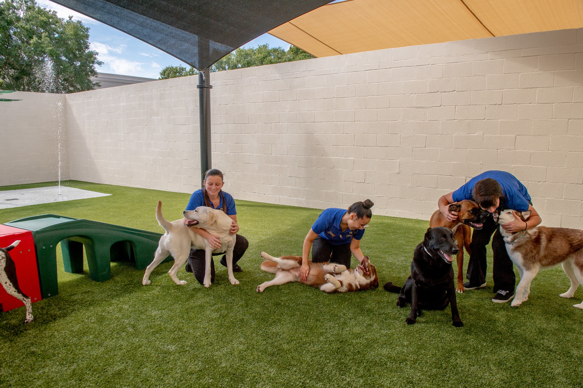 K9 Resorts Luxury Pet Hotel Pet Boarding ad creative