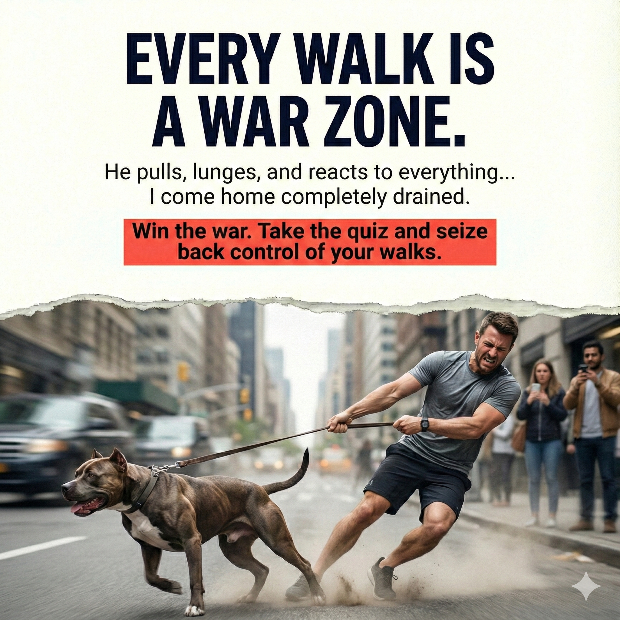 invirox_ Dog Training ad creative