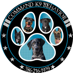 Command K9 Behavior Dog Training ad creative