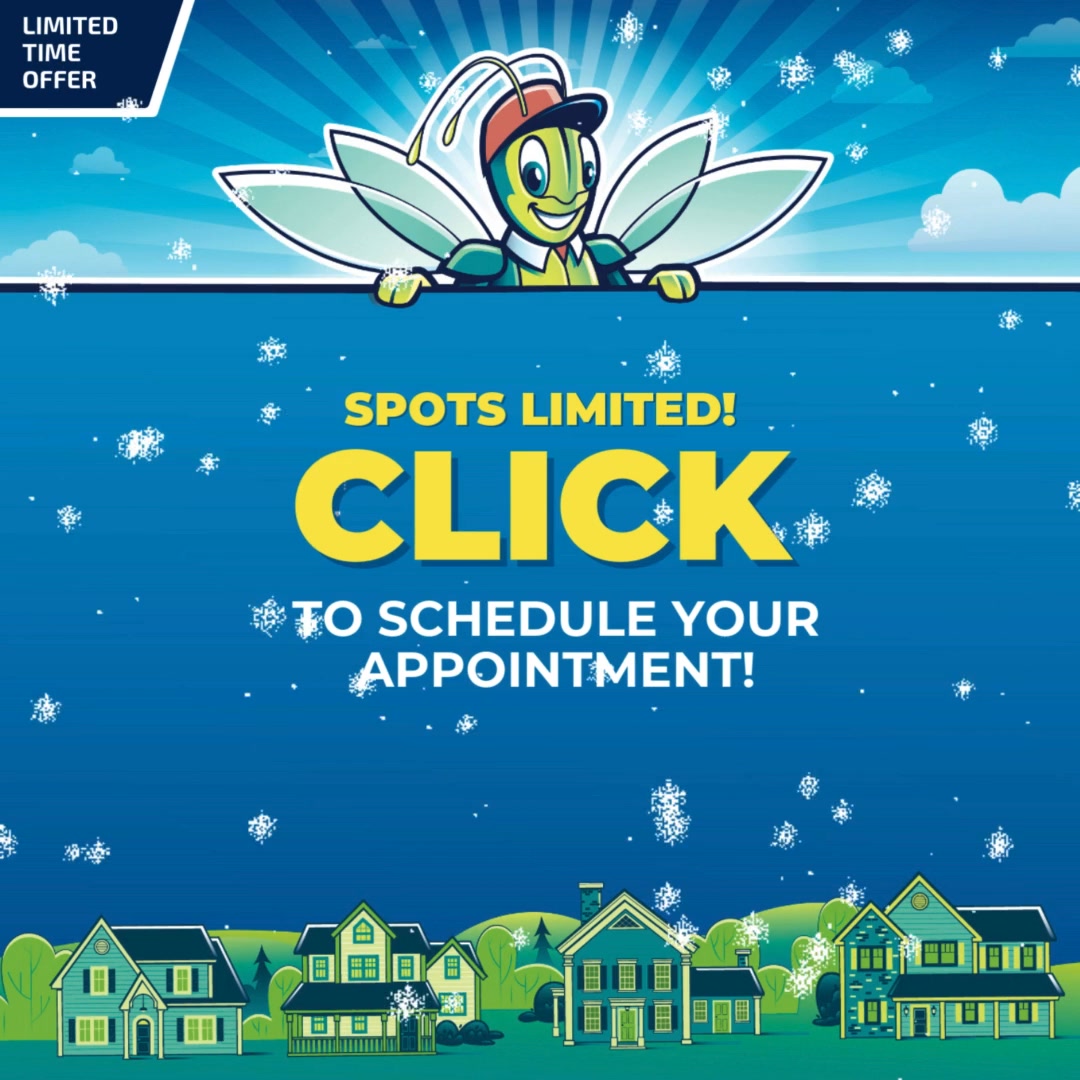 Furnace or Boiler Tune-Up 🔥