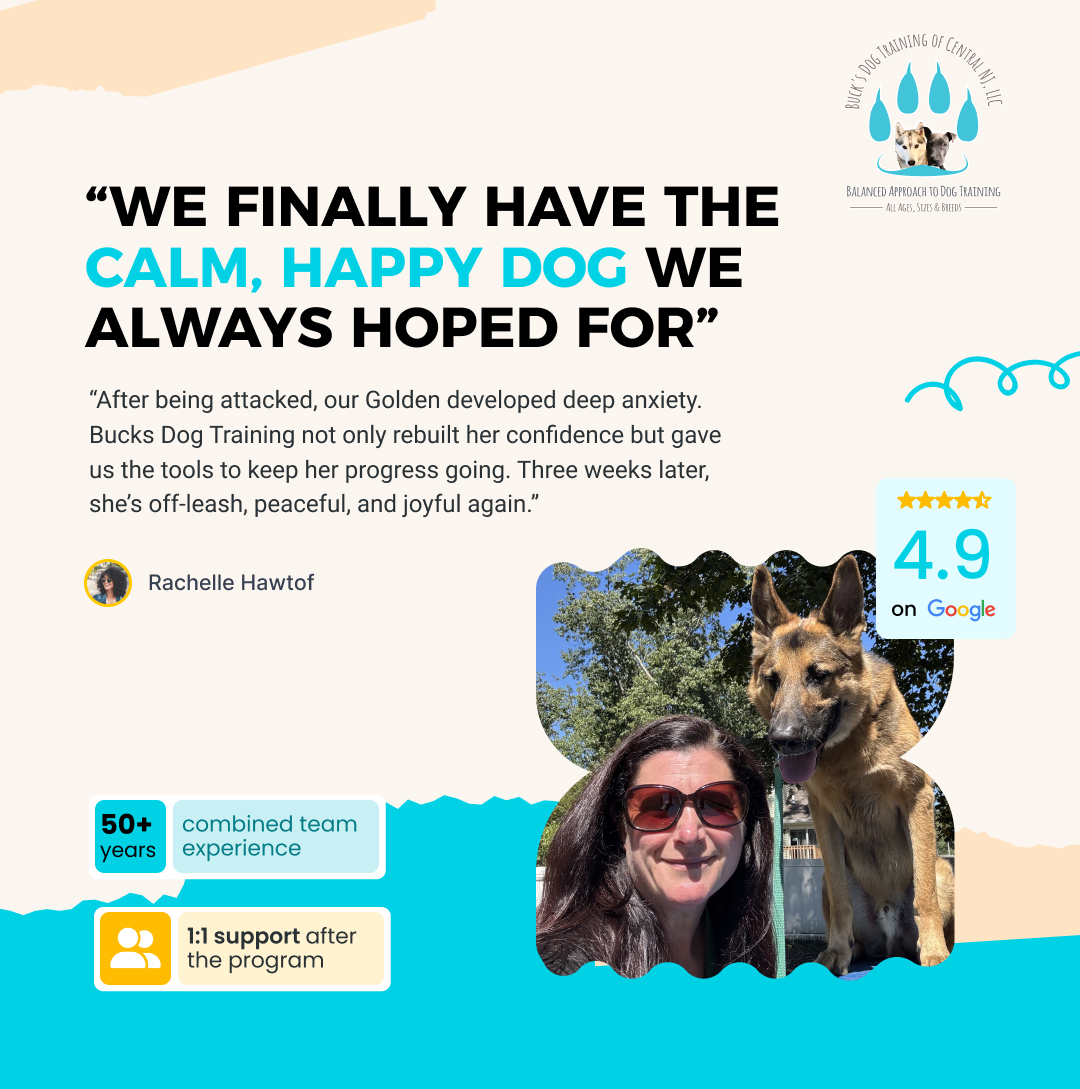 Behavior modification Training Service