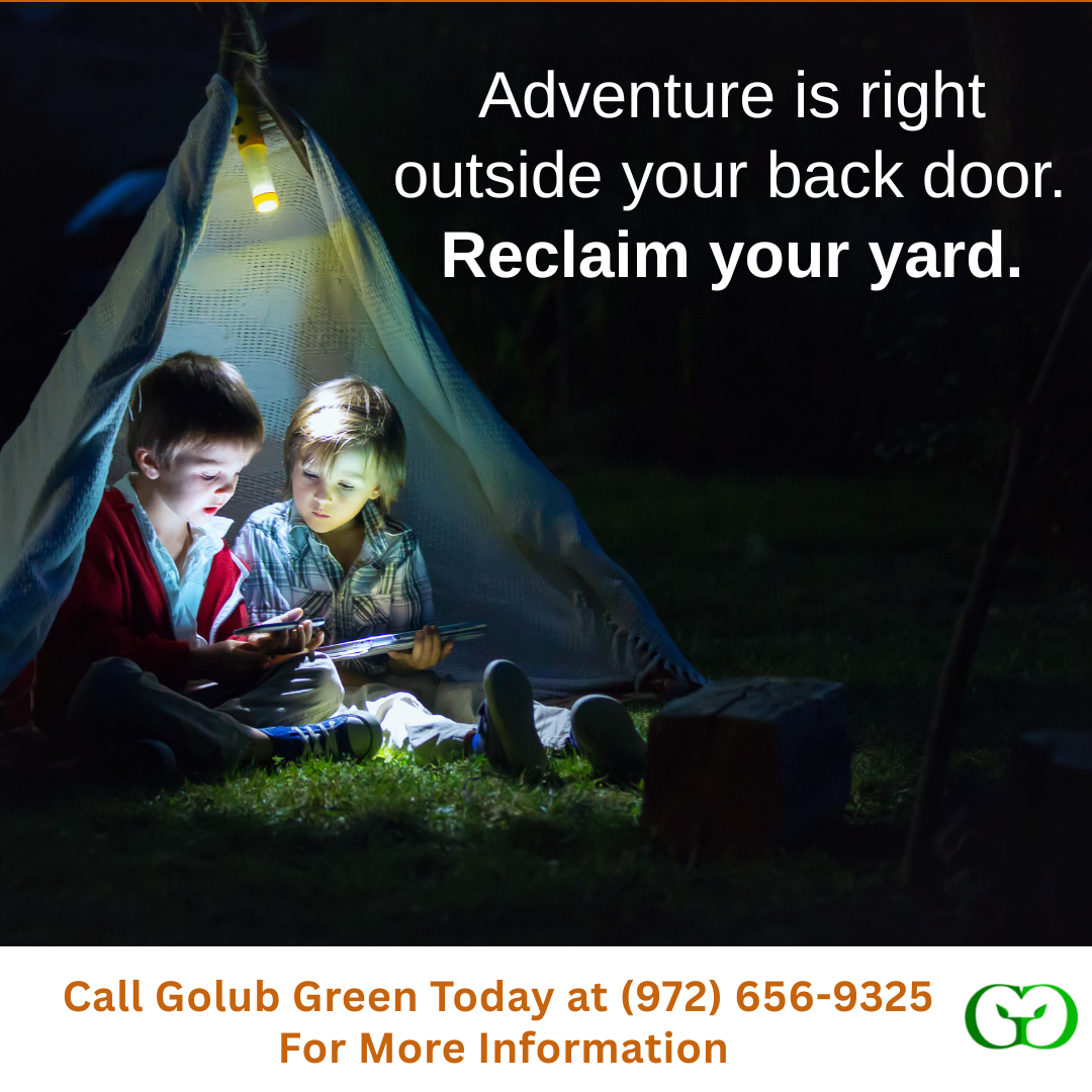 The Lawn Specialists