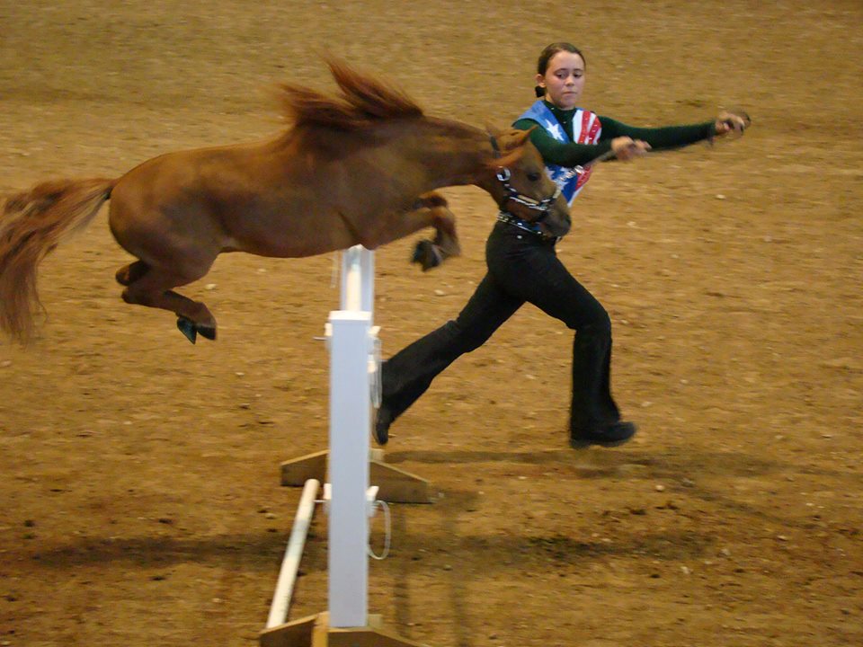 Book A Lesson Today!