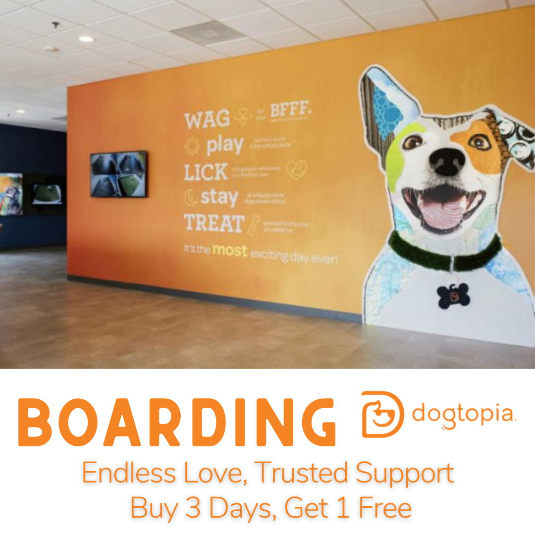 www.dogtopia.com