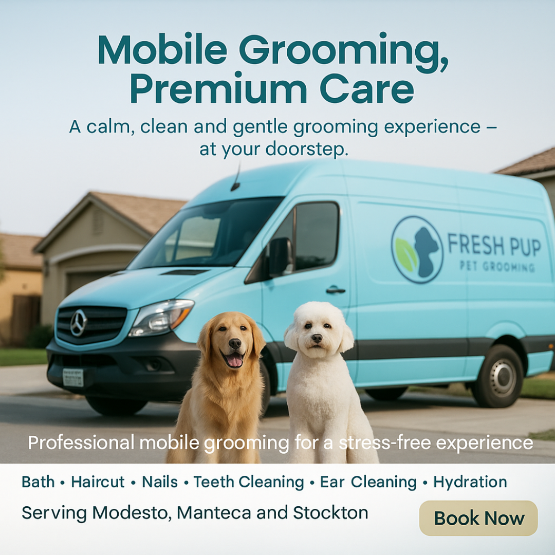 Book an Appointment today