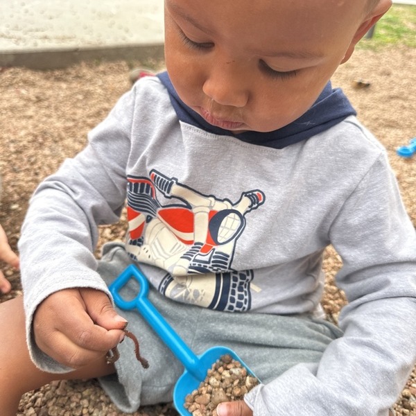 The Owl Academy Preschool ad creative