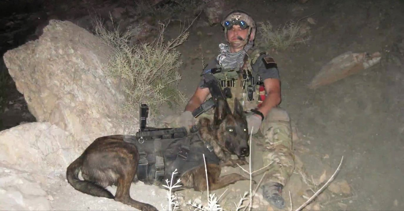 Elite Dog Training in TX