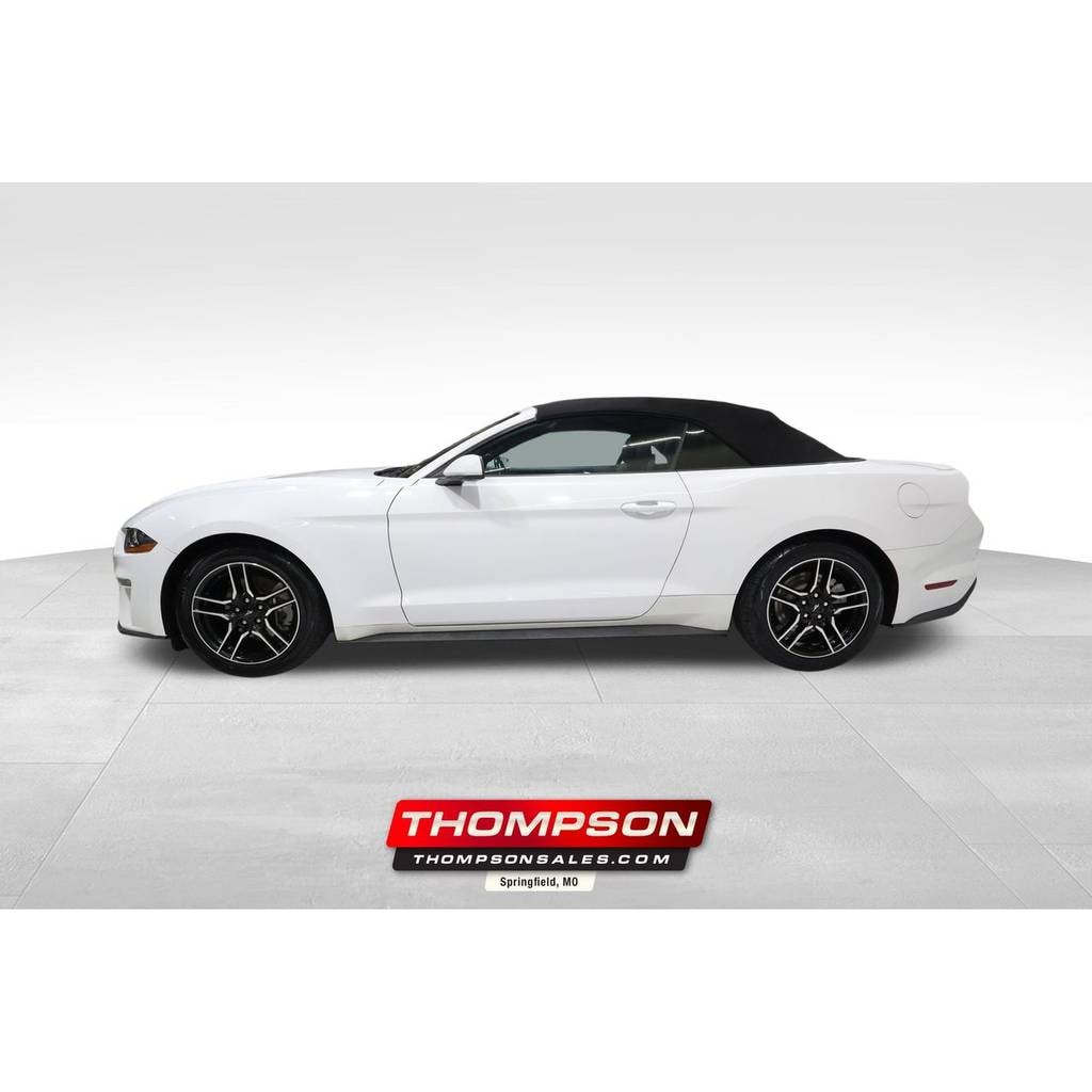 Thompson Sales Company Auto Dealer ad creative